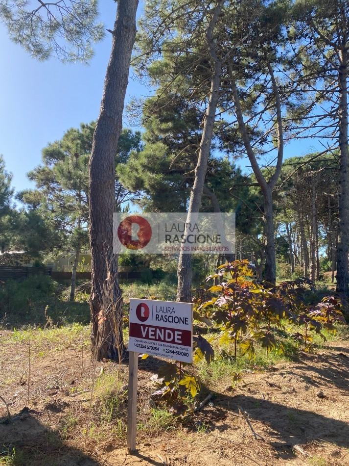 LOTE EN VENTA PINAMAR