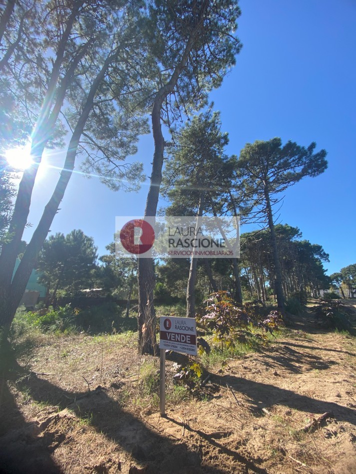LOTE EN VENTA PINAMAR