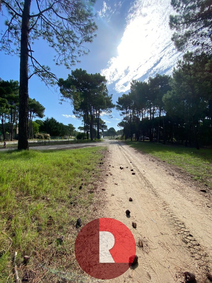 Lote en pinamar