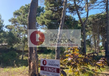 LOTE EN VENTA PINAMAR