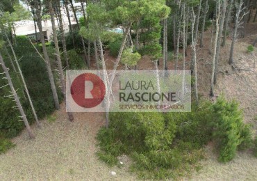 Lote en Venta Barrio Alamos