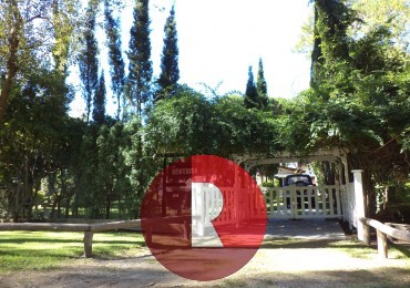 CASA DE UNA PLANTA EN CARILO