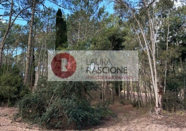 OPORTUNIDAD -LOTE EN BARRIO LOS ENEBROS 